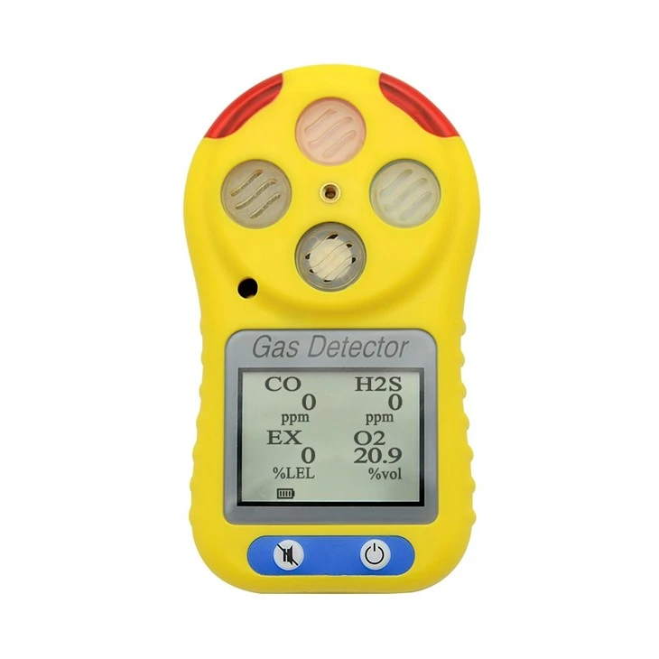 Multi Gas Meters